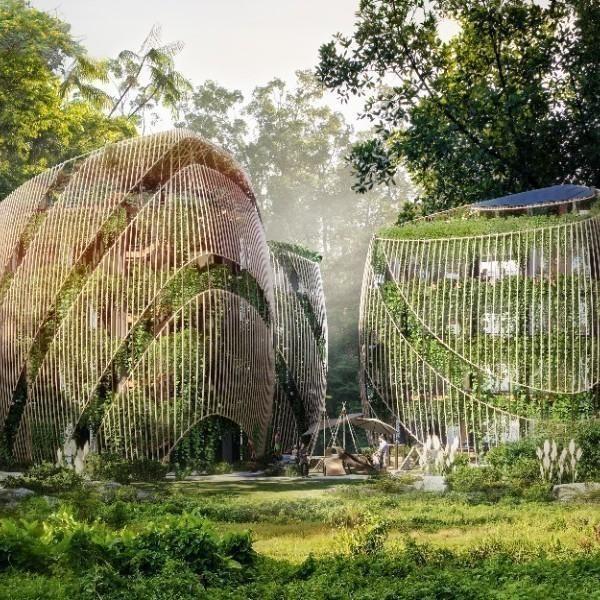 Parmelia Matos | Living The Noom