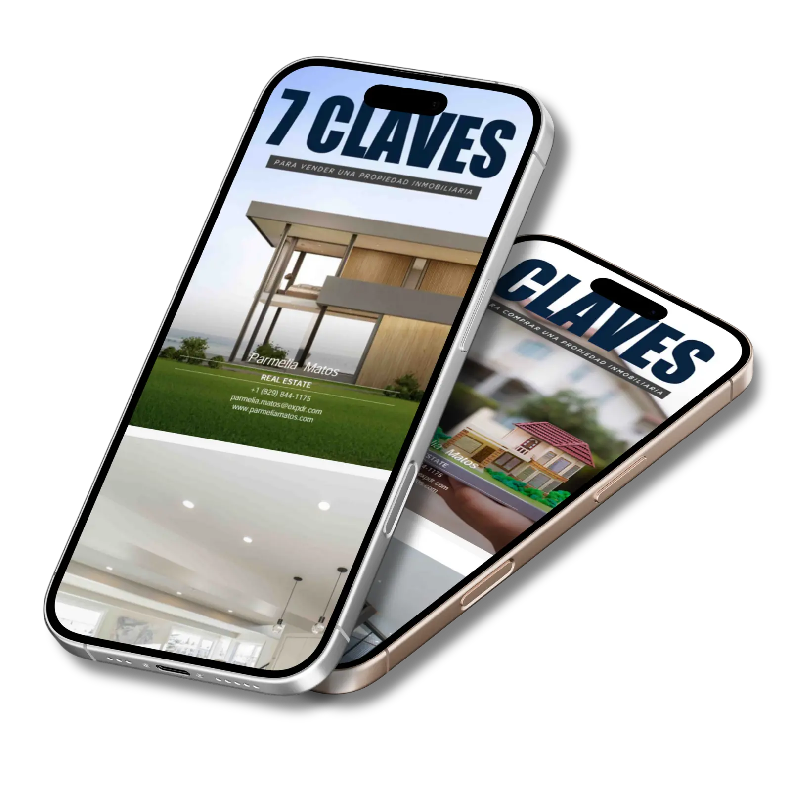 Parmelia Matos | Guias Inmobiliarias